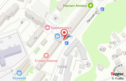 Магазин разливных напитков Техас на Лесной на карте