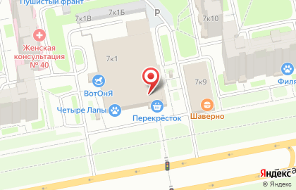 Автомат по продаже контактных линз Линзы-тут на Богатырском проспекте на карте