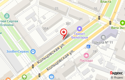 Биплан на Кольцовской улице на карте