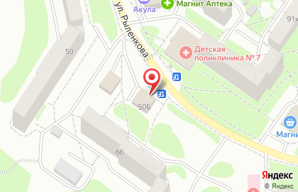 Зоомагазин Котопес на улице Рыленкова на карте