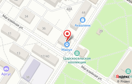 Зооветцентр Манул в Пушкине на карте