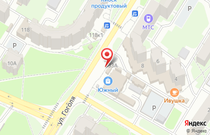 Зоомагазин Чистый котик на улице Гоголя на карте