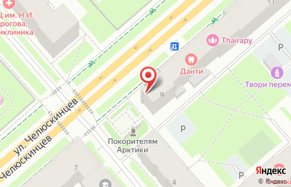Магазин товаров из Скандинавии на улице Челюскинцев на карте