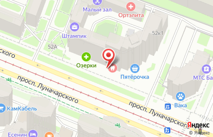 Маккрафт на проспекте Луначарского на карте
