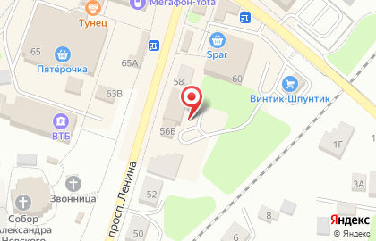Анюта на проспекте Ленина на карте
