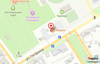 Продуктовый магазин Юность на улице Гагарина на карте