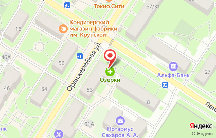 Аптека Озерки в Санкт-Петербурге на карте