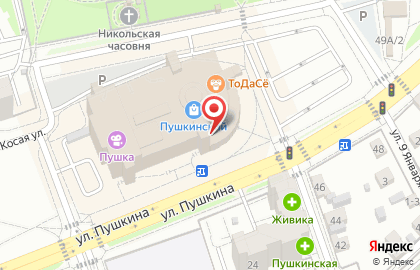 Салон ювелирных украшений Самоцветы на улице Пушкина на карте