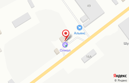 Аникеева Т.В., ИП на улице Горького на карте