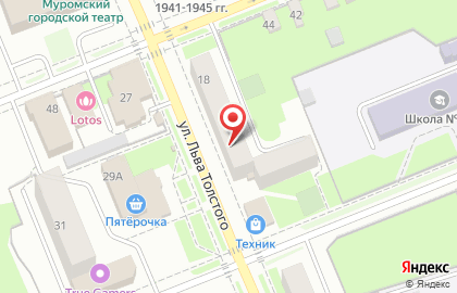 Магазин бытовой техники и посуды на улице Льва Толстого на карте