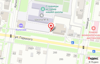 Благовещенский государственный педагогический университет на улице Горького на карте