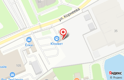 Ветеринарная клиника Юнивет на улице Корнеева в Домодедово на карте
