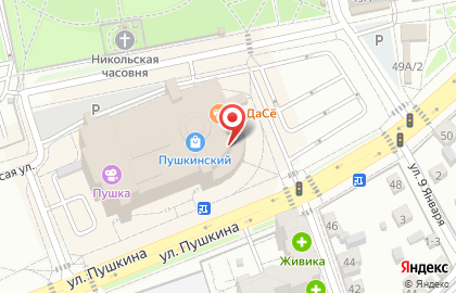 Студия натяжных потолков и окон Зевс на улице Пушкина на карте