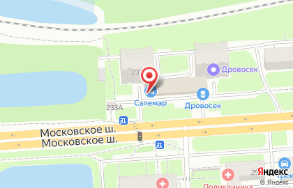 Автомагазин Салемар на Московском шоссе на карте