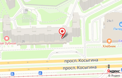 Дозор на проспекте Косыгина на карте