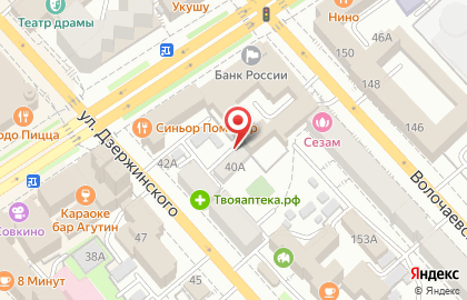 Зоомагазин Верный друг на улице Дзержинского на карте