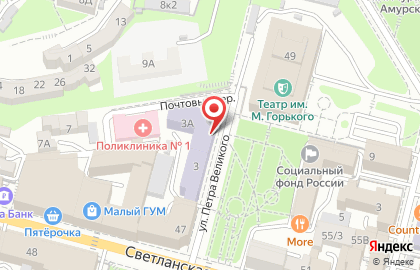 Дальневосточный государственный институт искусств во Владивостоке на карте