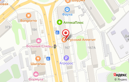 Киоск быстрого питания Русский Аппетит на Советской улице, 167б на карте