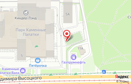 Магазин автозапчастей Пит-Стоп на улице Владимира Высоцкого на карте