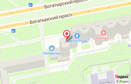 Терминал СберБанк на Богатырском проспекте на карте