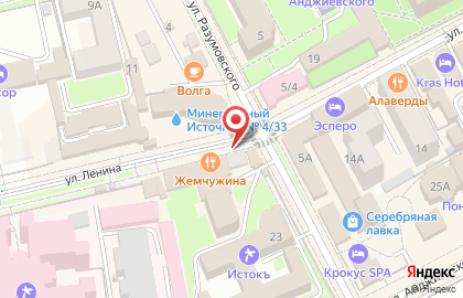 Магазин Светлана на улице Ленина на карте