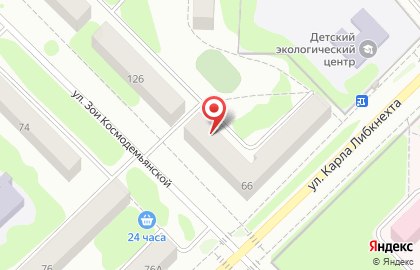Служба дезинфекции СЭС на улице Карла Либкнехта на карте