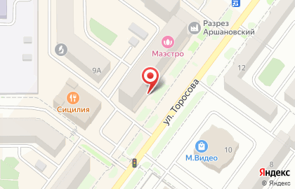 Магазин детских игрушек и трикотажа Оранжевый котенок на улице Торосова на карте