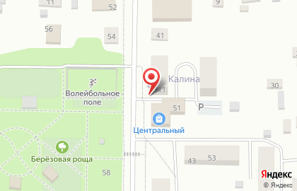 Торговый центр Центральный на Калинина на карте