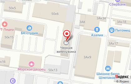 Детский технологический центр БИП на проспекте Гагарина на карте