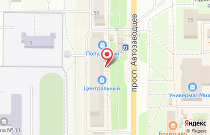 Фирменный магазин Сады России на проспекте Автозаводцев на карте