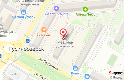 Мои документы на улице Пушкина на карте