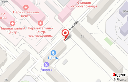 Киоск по продаже печатной продукции на улице Немцова на карте