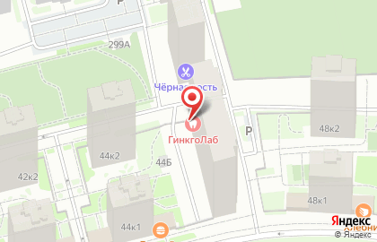 GinkgoLab на карте