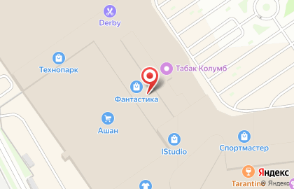 Фирменный магазин Samsung на улице Родионова на карте