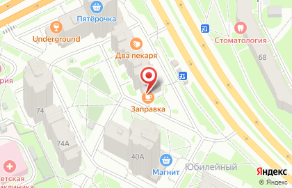 Цветочная база Псковцвет на Юбилейной улице на карте