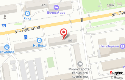 Цветочный бутик Amore+Fiori на улице Пушкина на карте