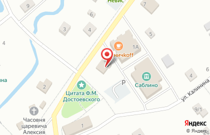 Магазин канцелярских товаров на Советском проспекте (Тосненский район), 1 на карте