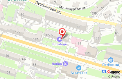 Служба заказа товаров аптечного ассортимента Аптека.ру на Светланской улице на карте