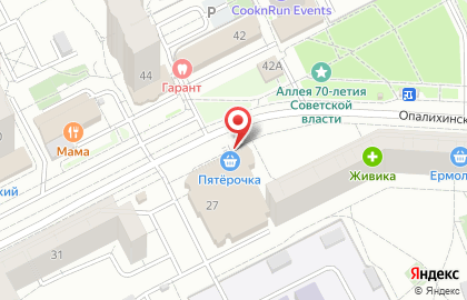 Артфлора в Верх-Исетском районе на карте