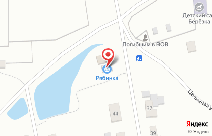 Магазин Рябинка на Целинной улице на карте