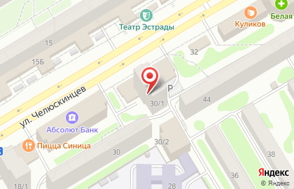 Центральное агентство недвижимости на улице Челюскинцев, 30/1 на карте