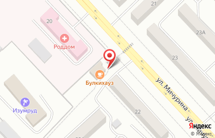 Цветочная лавка на улице Мичурина на карте