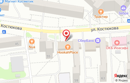 Зоомагазин Айболит на улице Костюкова на карте
