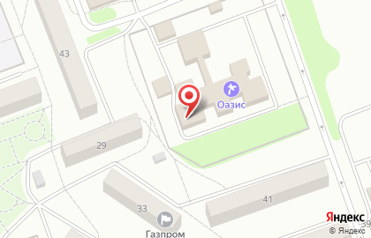 Оазис в Перми на карте