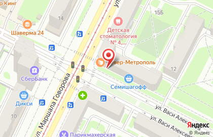 Химчистка БиоЛайф-Экспресс на улице Васи Алексеева на карте