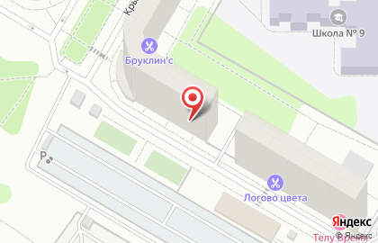Школа развития интеллекта Нью-Ньютоны на Крымской улице в Раменском на карте