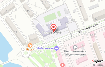 Гимназия №9 на улице Чайковского на карте