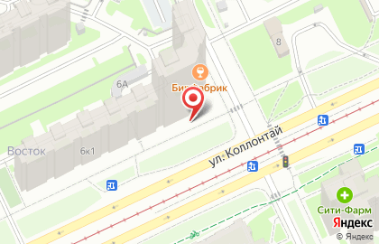 Аптека Озерки в Санкт-Петербурге на карте