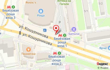 Киоск по продаже печатной продукции на улице Кошурникова на карте