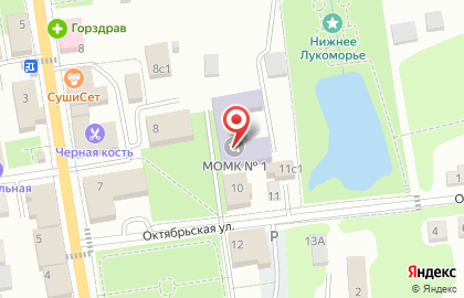Рузский филиал Московский областной медицинский колледж №1 на карте